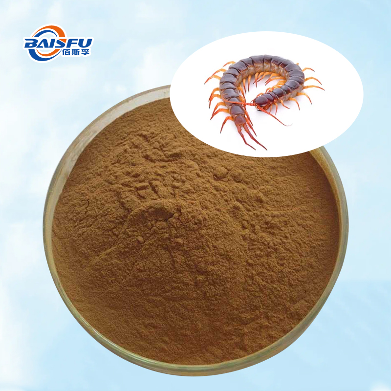 Baisfu high quality Scolopendra P.E Brownish-yellow powder Scolopendrasin use in medicine