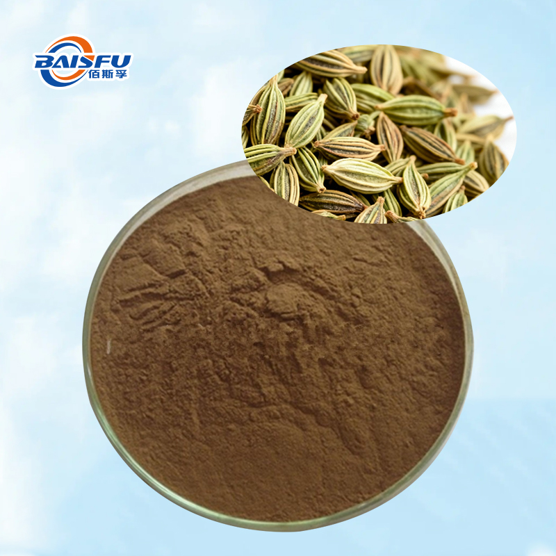 Baisfu Pure plant fennel extract best quality Yellow Brown Fine Powder use in food additive and medicine