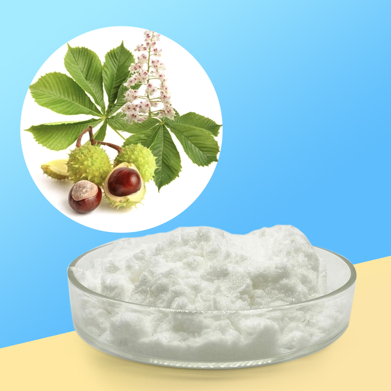 Baisfu Top Quality Factory Supply Aescine CAS 6805-41-0 Purity 98% White fine powder for Health supplements and medicines