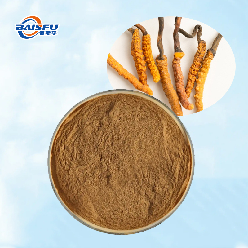 Baisfu Best Quality Cordyceps Militaris Powder Cordycepin CAS 73-03-0 Brown Fine Powder for Nutritional Fortifiers and Health Supplements