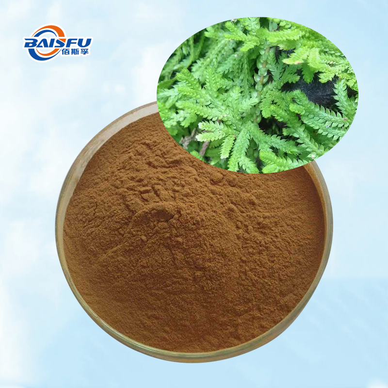 Baisfu ​Best Quality Huperzine A Huperzia Serrata Extract Powder Brownish-Yellow Powder For Health Supplements and Functional Beverages