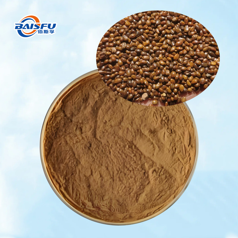 Baisfu High Quality Sea Buckthorn Seed Extract Brown Fine Powder for Dietary Supplements and Nutrient Fortifiers