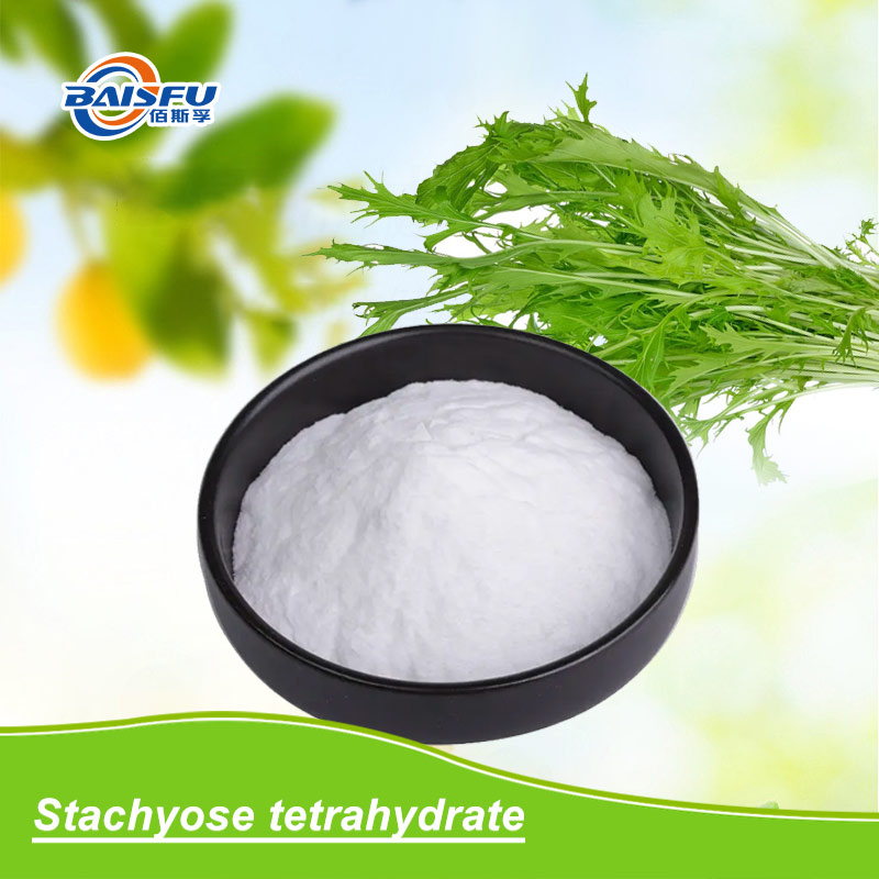 Baisfu Hot Sale Stachyose Tetrahydrate Prebiotics White Crystalline Powder for Food Beverage and Supplements